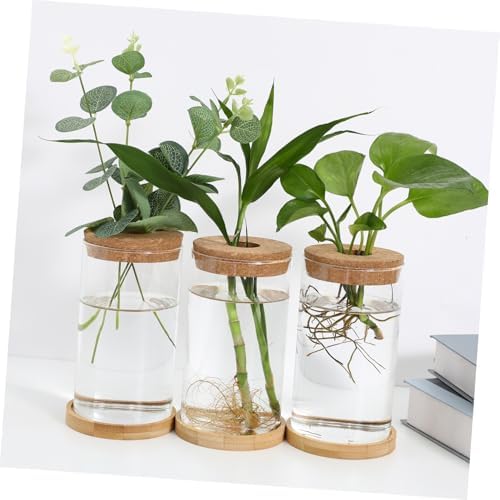 Glass Hydroponic Propagation Vase Planter for Green Radish and Plants with Tube, Design to Observe Water Levels, for Office and Home Decor - Image 7