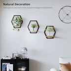 3 Pack Hexagon Wall Plant Stands, 9 Inch Wood Shelf, Coffee - Image 2