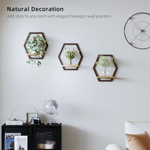 3 Pack Hexagon Wall Plant Stands, 9 Inch Wood Shelf, Coffee - Image 2