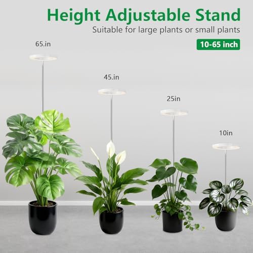 6.3in Grow Light for Indoor Plants, 15W Full Spectrum Halo Plant Light - Image 2