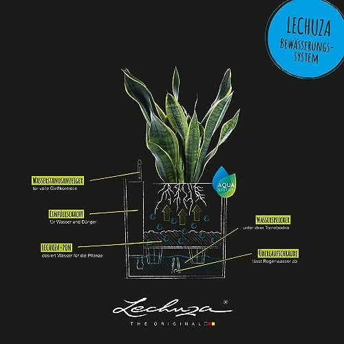 Lechuza Cube Cottage 30 Granite, Self-Watering Square Planter, H11.8 L11.8 W11.8 in - Image 5