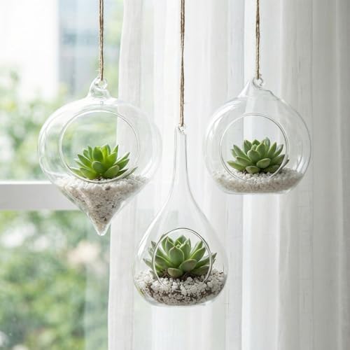 Zopeal 6 Pcs Glass Hanging Planter Wall Vase Terrarium Hydroponic Plants - Image 3
