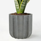 10 Inch Ceramic Plant Pot for Indoor Plants with Drainage Hole by AvyraVelen