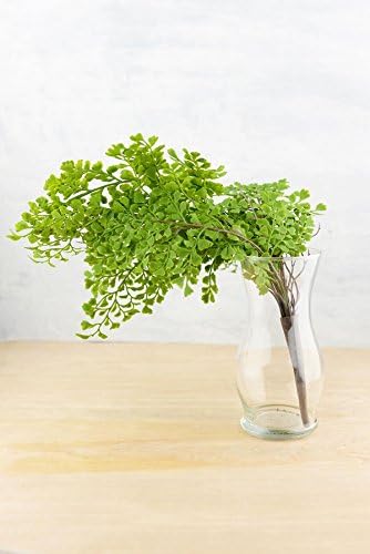 Richland Fern Bush 18" Artificial Maidenhair Set of 12 - Image 2