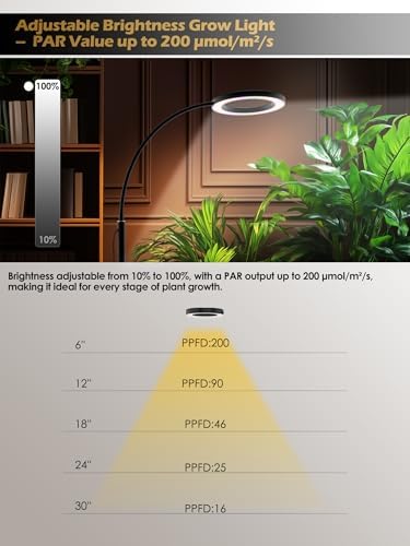 24W Grow Lights for Indoor Plants, Full Spectrum LED Plant Light With Stand - Image 6