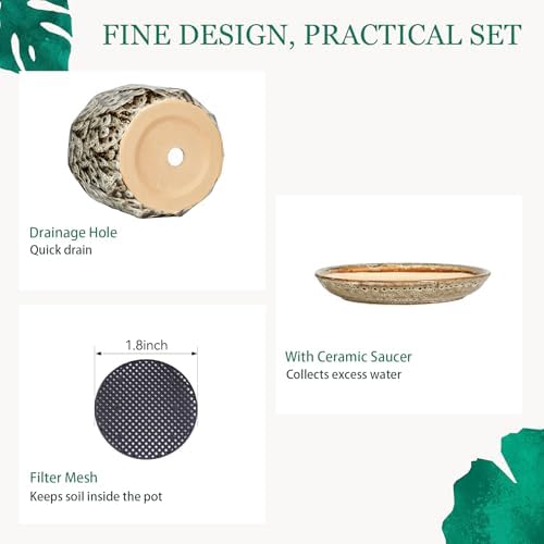 7.8 Inch Ceramic Plant Pot with Drainage Hole Mesh Net, Large Flower Pots for Indoor Plants with Saucer, Gardening Pots Outdoor - Image 4