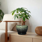 Ceramic Pots for Plants - 6 Inch Plant Pots with Drainage Hole and Saucer, Ceramic Planters for Indoor Plants, Decorative Succulent Pot, Office Decor, Gifts for Plant Lovers, Retro Green - Image 3