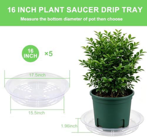 TITE 5 Pack Clear Plant Saucer Heavy Duty Sturdy Drip Trays for Indoor and Outdoor Plants - Image 6