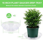 TITE 5 Pack Clear Plant Saucer Heavy Duty Sturdy Drip Trays for Indoor and Outdoor Plants - Image 6