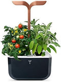 Veritable Exky Smart Indoor Garden, Black Copper by Veritable+