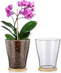 Baderke Glass Orchid Vase with Holes, Clear Planter Bamboo Tray, 6 Inch by Baderke