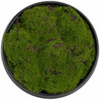 Black Ceramic Moss Bowl | 8 Inch | Artificial Moss Centerpiece | Decorative Table Bowl - Image 3