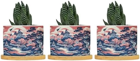 Pink Blue Chinoiserie Ceramic Planter Coral Chinoiserie Chic Asian Planters for Indoor Plants with Drainage Holes and Saucers Pot for Home Office Decoration by BRUYU5SE