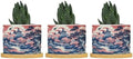 Pink Blue Chinoiserie Ceramic Planter Coral Chinoiserie Chic Asian Planters for Indoor Plants with Drainage Holes and Saucers Pot for Home Office Decoration by BRUYU5SE