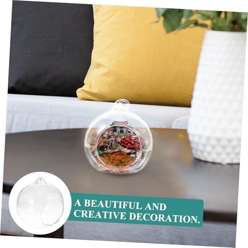 12Pcs Transparent Hanging Glass Globe Terrarium for Air Plants Creative Micro Landscape Decor for Home Office Decoration and Plant Display - Image 7