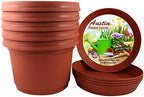 Flower Pot and Saucer, 12 Inch Terra Cotta, Case of 5 by AustinPlanter