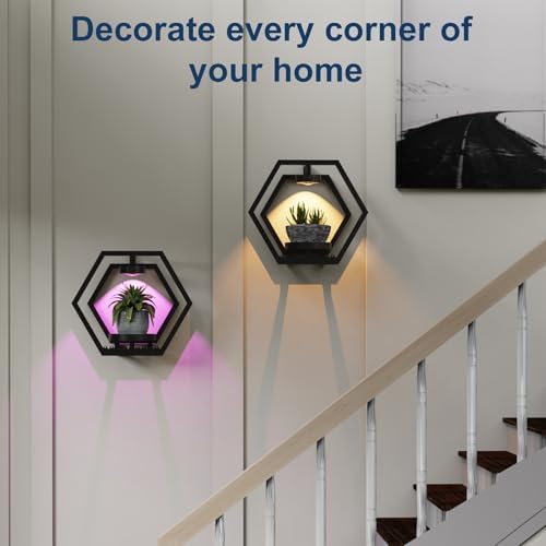 Shineled Wall Planter with Lights, Black Metal Wall Mounted Plant Stand with Adjustable Grow Light, Plant Holder for Indoor Living Room, Patio - 2 Pack - Image 5