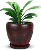 Ceramic Plant Pots With Saucer & Drainage Hole, 8 inch Indoor Flower Pots by Xoogifae