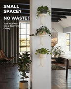 Bamworld Wall Plant Holder for Hanging Planters, White, 3pcs - Image 4