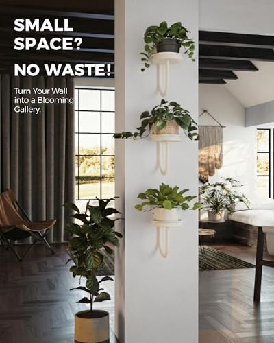 Bamworld Wall Plant Holder for Hanging Planters, White, 3pcs - Image 4