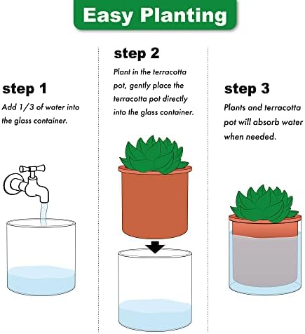 Phoenix Vine 4 Inch 6 Inch Self Watering Plants Pots, Design Terracotta Pots for Plants, Indoor Cylinder Terra Cotta Planter with Glass Vase Set, 51-A-G-46 - Image 6