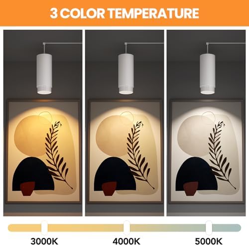 Zoomable Hanging Plant Light for Indoor Plant, Full Spectrum, White - Image 3
