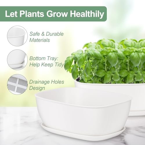 Oliz Set of 8 White Oval Shallow Herb Garden Planters with Drainage Holes and Trays (8.66 Inch) Plant Pots for Herbs Basil Orchids Succulents, Modern Herb Garden Planter for Indoor/Outdoor Plants - Image 5
