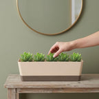 Planter Box with Drainage Holes Windowsill Rectangular 2pcs Plastic - Image 7