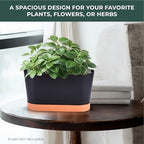 Window Garden Window Boxes Planters - 2-Pack Rectangular Planter - Window Sill Planter Box - Plastic Plant Pot with Water Level Indicator, Drainage Holes, and Trays - Image 2