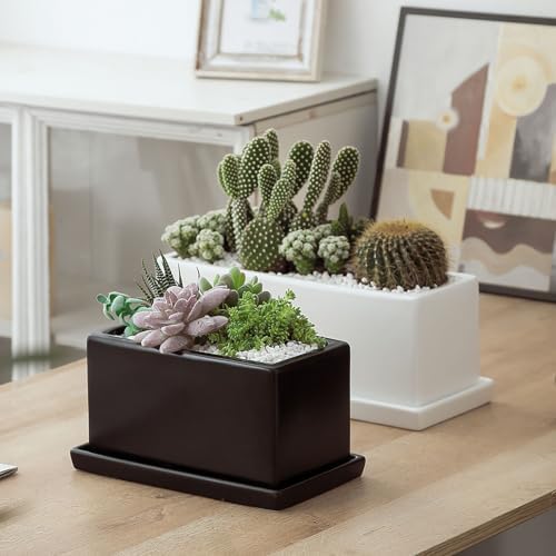 12 Inch Rectangular Ceramic Plant Pot, Window Box, Glazed Black - Image 7