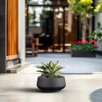 Kante Small Round Shallow Black Concrete Planter 12.5" Dia, Outdoor - Image 3