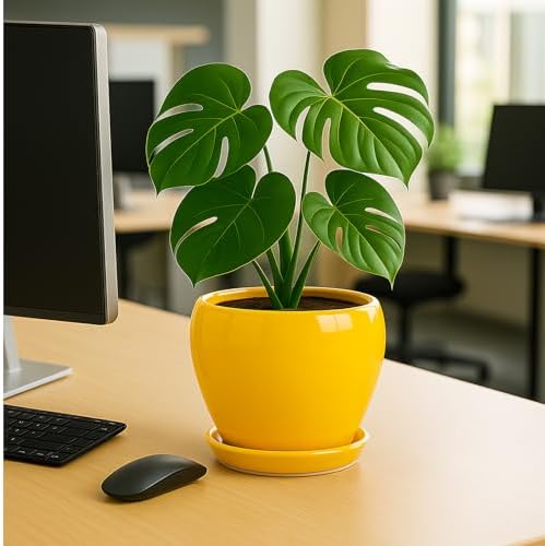 Deep Dream 8 Inch Plant Pots- Ceramic Pots for Plants with Drainage Hole and Saucer, Large Planter Pot for Indoor Plants Outdoor Decor, Yellow - Image 4