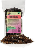 Premium Gardenera House Plant Potting Mix | Fern + New Zealand Bark + Perlite | Great for Pothos, Spider Plants, Montsera, Philodendron, English Ivy - 4 Quart Bag by Gardenera