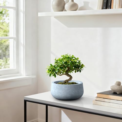 Kante Accent Round Bowl Blue Gray Concrete Planter 16" Dia, Outdoor - Image 3