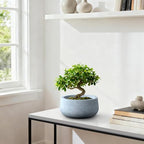 Kante Accent Round Bowl Blue Gray Concrete Planter 16" Dia, Outdoor - Image 3