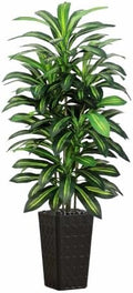 Artifical Dracaena Tree Indoor, 5FT Tall Fake Floor Plants with Black Planter & Pebbles, Fuax Silk Yucca Tree for Home Office Living Room Bedroom Farmhouse Modern Outdoor Topiary Tree by TXABL