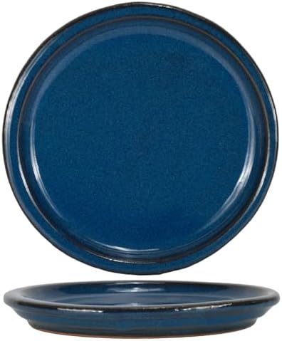 W&W Ceramic Plant Saucer - Plant Trays for Indoor Pots(Blue, 13 inches, 2 Packs) by WWHomeDecor