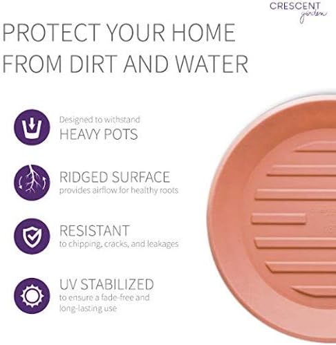 Crescent Garden Universal Round Planter Saucer, Durable Drainage Dish for Plant Pots, Heavy-Duty Plant Dishes Saucer, Indoor & Outdoor Plant Trays - Terracotta-Color (11 inch Inner, 15 inch Outer) - Image 6