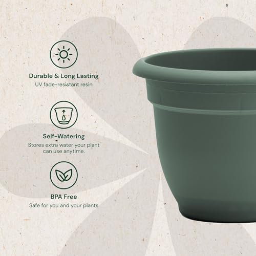 Bloem Ariana 8" Plastic Self-Watering Planter, Basil, 4-Pack - Image 4