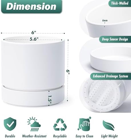 Phoenix Vine 6 Inch Planter Pot with Drainage Hole & Saucer, Deep Water Catch Tray, Straight Cylindrical Round Pot for Plants, Matte White, Pack of 4, 23-B-S-4 - Image 2