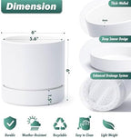 Phoenix Vine 6 Inch Planter Pot with Drainage Hole & Saucer, Deep Water Catch Tray, Straight Cylindrical Round Pot for Plants, Matte White, Pack of 2, 23-B-S-2 - Image 2