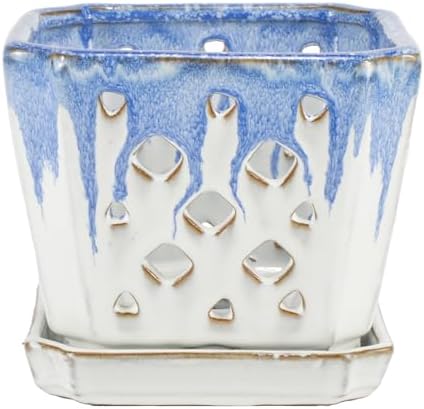 W&W Orchid Pot with Holes and Saucer for Repotting and Better Grow, Blue and White, 7" - Image 2