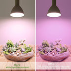 Smart LED PAR38 Grow Light, Dimmable, Sun Mode Dimming - Mimics Real Sunshine, Daily Run Auto Timer, Remote Control - Full Spectrum for Indoor Plant Growth - Image 6