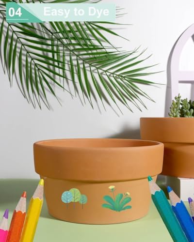 vensovo 8 Inch Terracotta Shallow Planter Pots, 2 Pack, Drainage Hole - Image 4