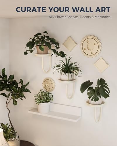 Bamworld Wall Plant Holder for Hanging Planters, White, 3pcs - Image 6