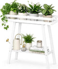 BAMBANG Bamboo Plant Stand Indoor, 2 Tier Small Plant Table, Tall Plant Stand for Indoor Plants, Window Sill Plant Shelf, Flower Pot Holder Plant Bench Plant Rack for Living Room, White by BAMBANG