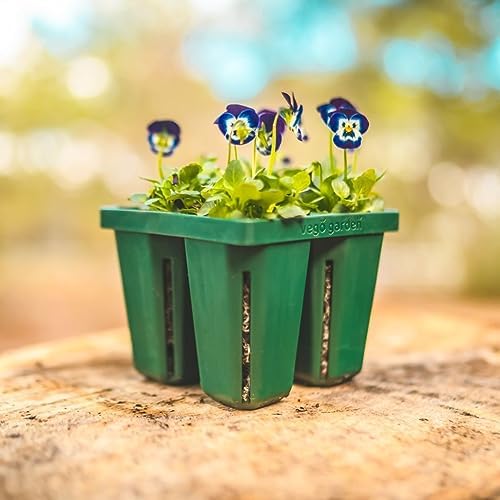 Vego garden Jumbo Seedling Trays Without Lids, 16 Pack Reusable Propagator Growing Starter Tray for Larger Plants, Heavy-Duty Plastic Germination Trays (4-Cell per Tray) - Image 4