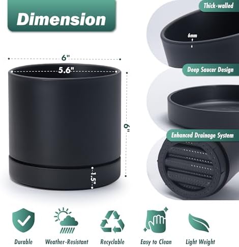 Phoenix Vine 6 Inch Planter Pot with Drainage Hole & Saucer, Deep Water Catch Tray, Straight Cylindrical Round Pot for Plants, Matte Black, Pack of 2, 23-C-S-2 - Image 2