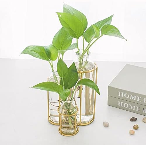Flower Vases with 3 Bottle Crystal Clear Glass Flower Vase with Metal Stand Propagation Station Plant Display Holder Set for Home or Wedding Décor by Radefasun