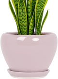Deep Dream 8 Inch Plant Pots- Ceramic Pots for Plants with Drainage Hole and Saucer, Large Planter Pot for Indoor Plants Outdoor Decor, Pink by DeepDream